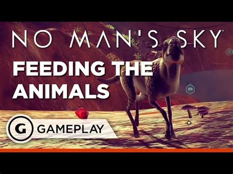 no man's sky feeding animals.